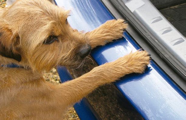 Protector de parachoques trasero Audi A6 4 puertas 2018>-PROTECTOR DE PARACHOQUES-ICCTUNING