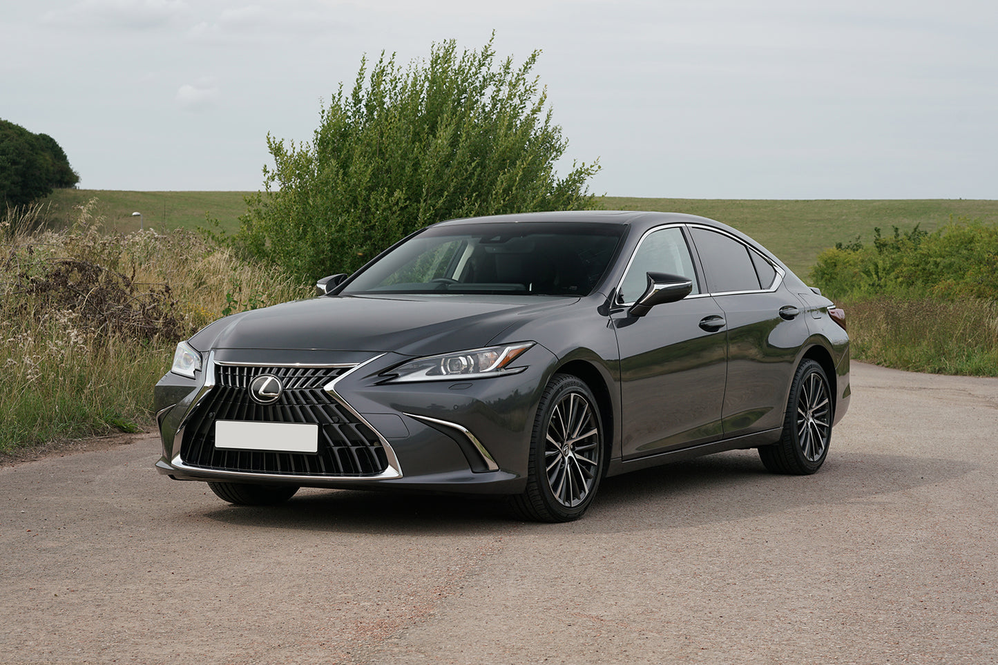 parasoles Lexus ES300 4 puertas 2018-2025