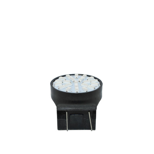 Toma de corriente LED blanca micro T20 de 22 W-ICCTUNING