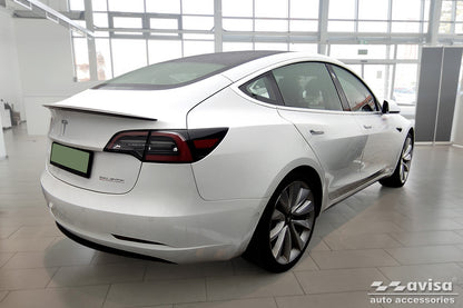 placa protectora del delanteroTESLA MODEL 3 plata