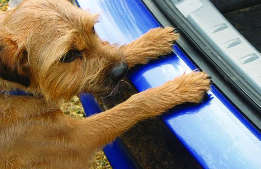 Protector de parachoques trasero VW ARTEON 2017>-PROTECTOR DE PARACHOQUES-ICCTUNING