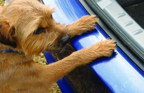 Protector de parachoques trasero Fiat Freemont 2012> Texturizado-PROTECTOR DE PARACHOQUES-ICCTUNING